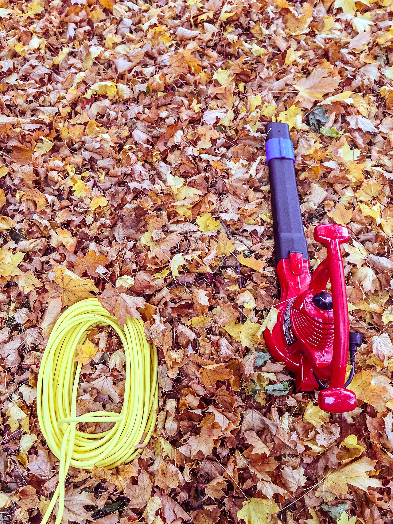 Souffleur électrique rouge posé sur des feuilles mortes, à côté de sa rallonge.