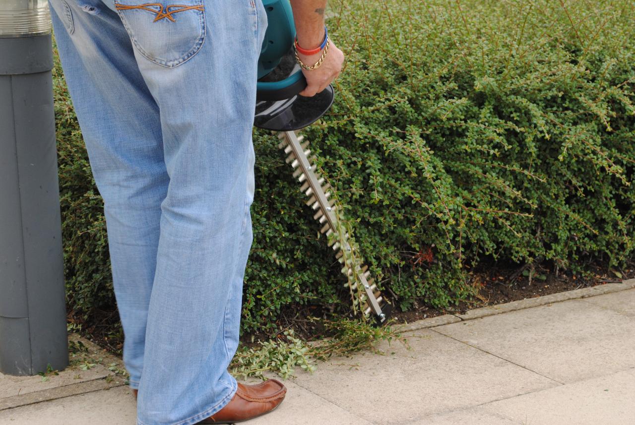Taille-haie électrique sans fil Makita